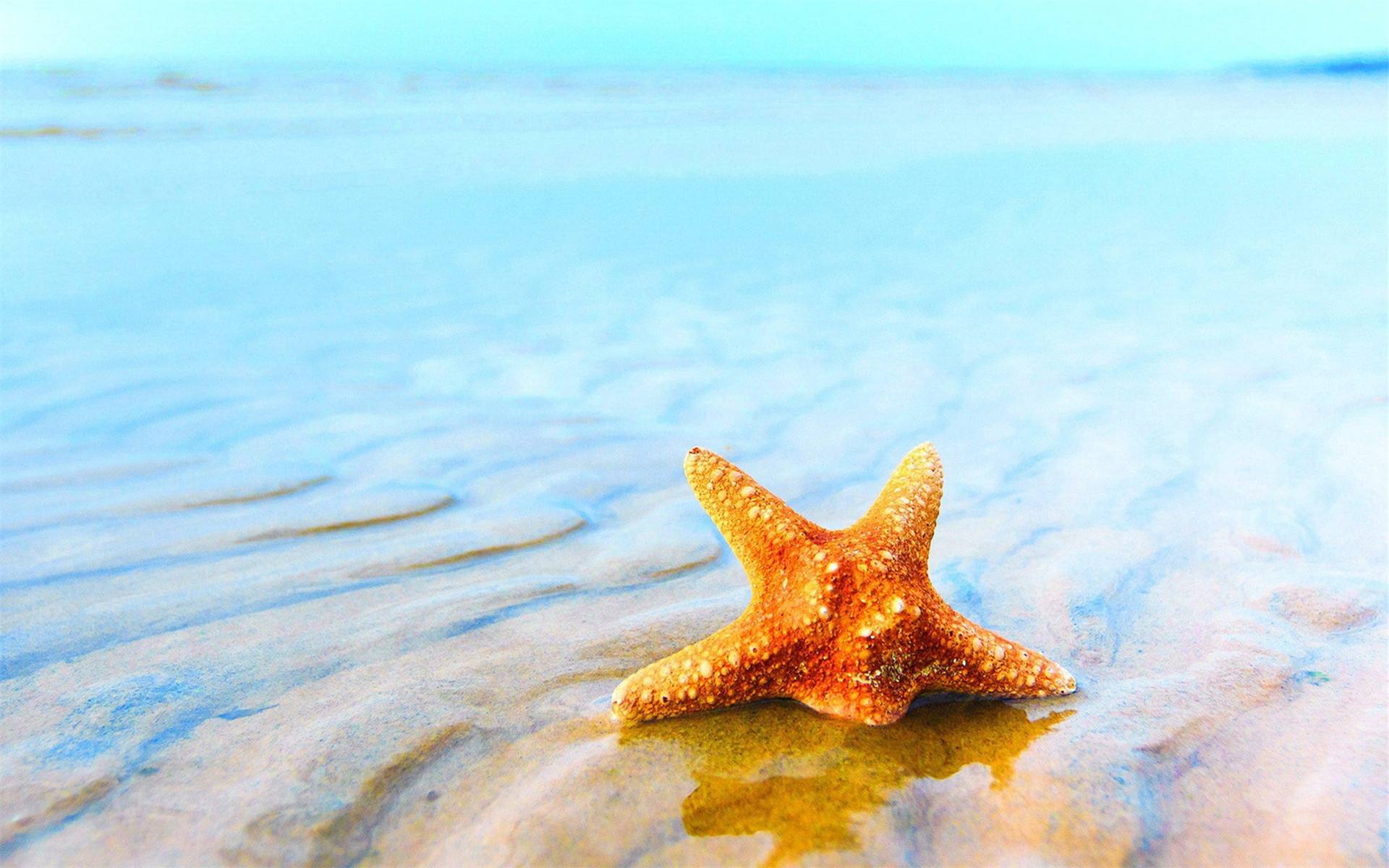 怎样解决win7字体模糊