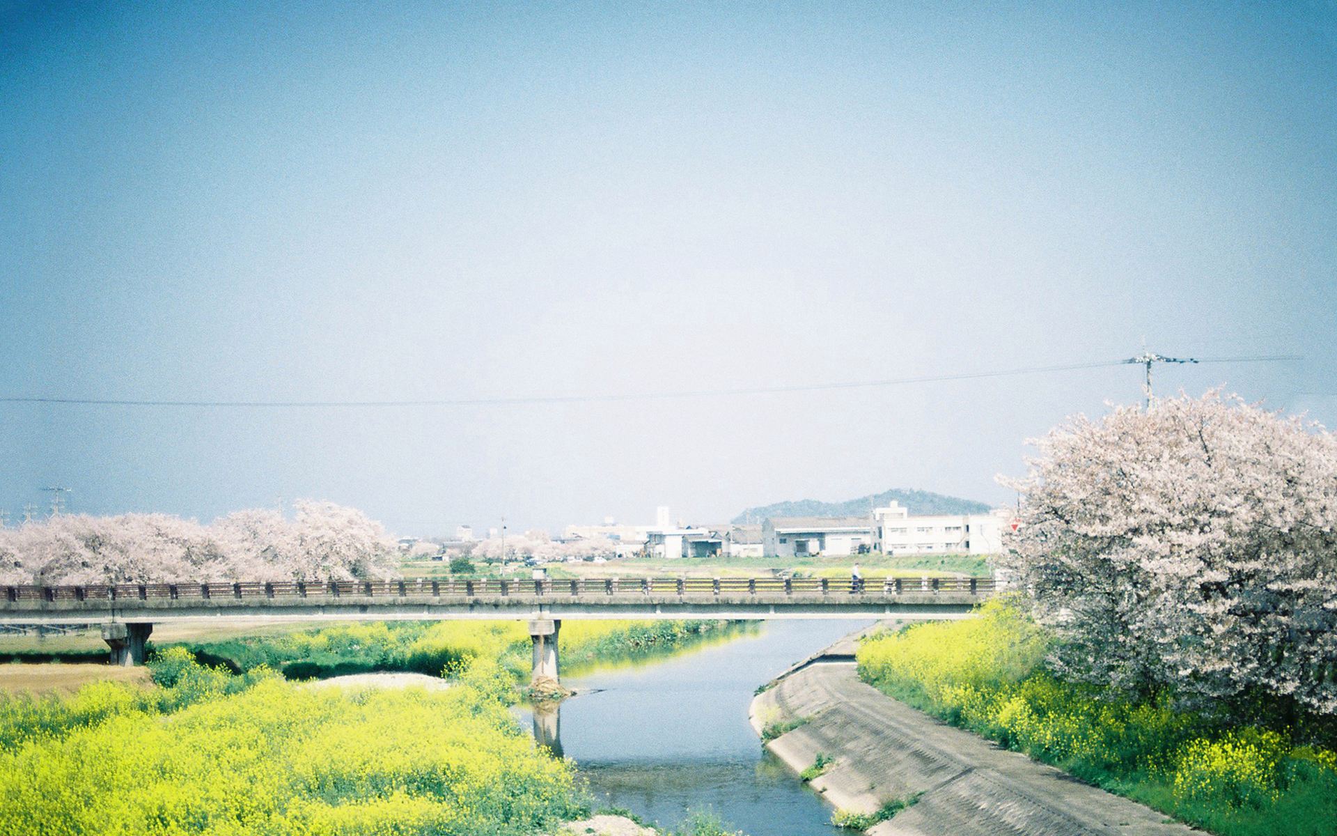 怎样解决win7字体模糊